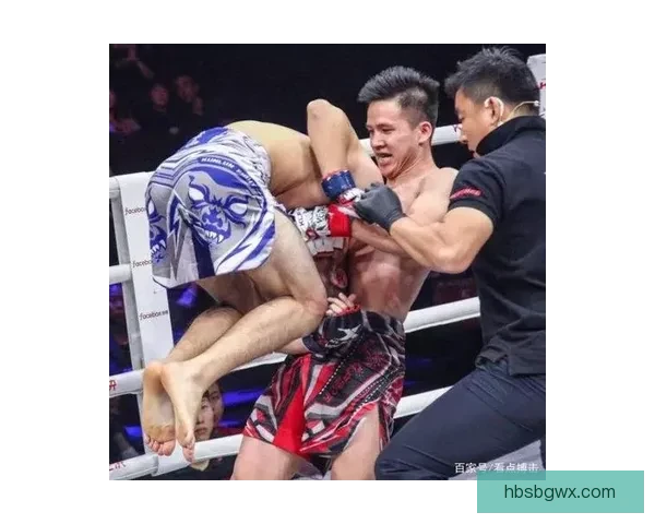 张美煊与瑞奇的激烈对决背后隐藏的策略与心理博弈揭秘 张美煊与瑞奇的激烈对决背后隐藏的策略与心理博弈揭秘