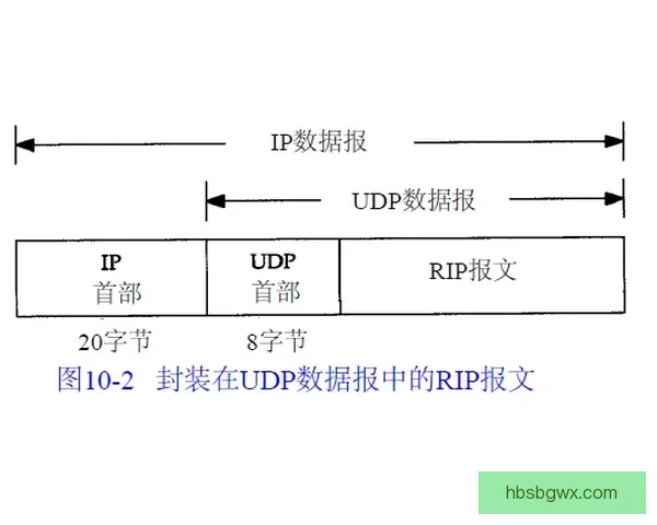方便与马库斯的多维对比解析及其在现代应用中的启示